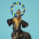 Jump & Catch Dog Toy - Wild & Woofy | Ryft